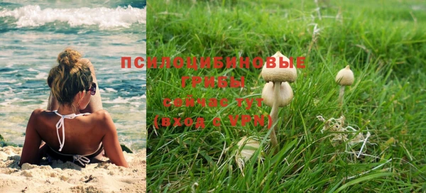 мяу мяу мука Баксан