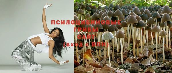 spice Балахна