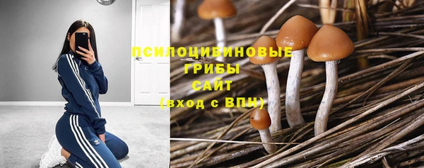 бутират Аркадак
