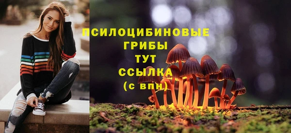 мяу мяу мука Баксан
