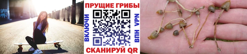 Галлюциногенные грибы прущие грибы  Вуктыл 